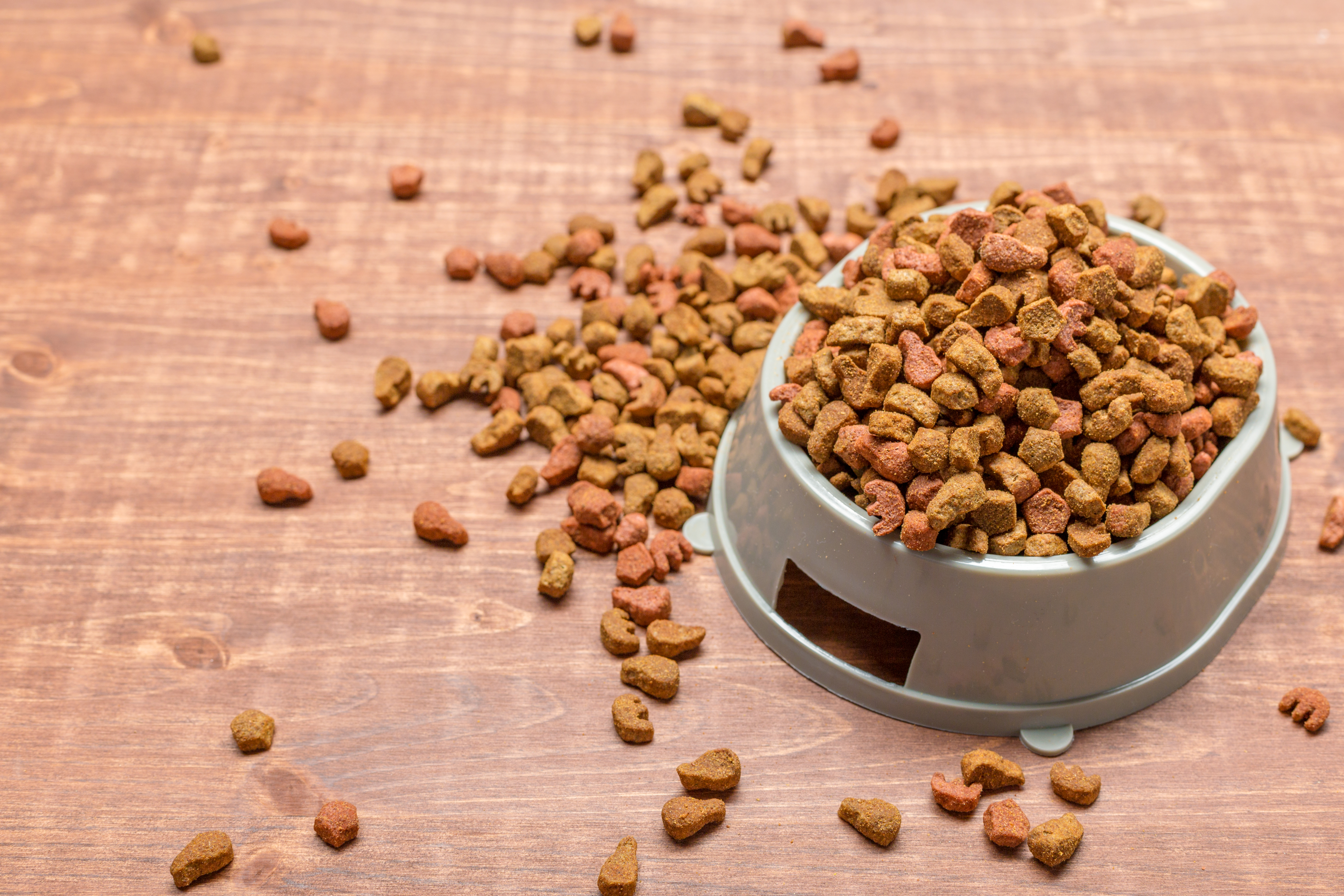 Croquettes classiques pour chiens et chats