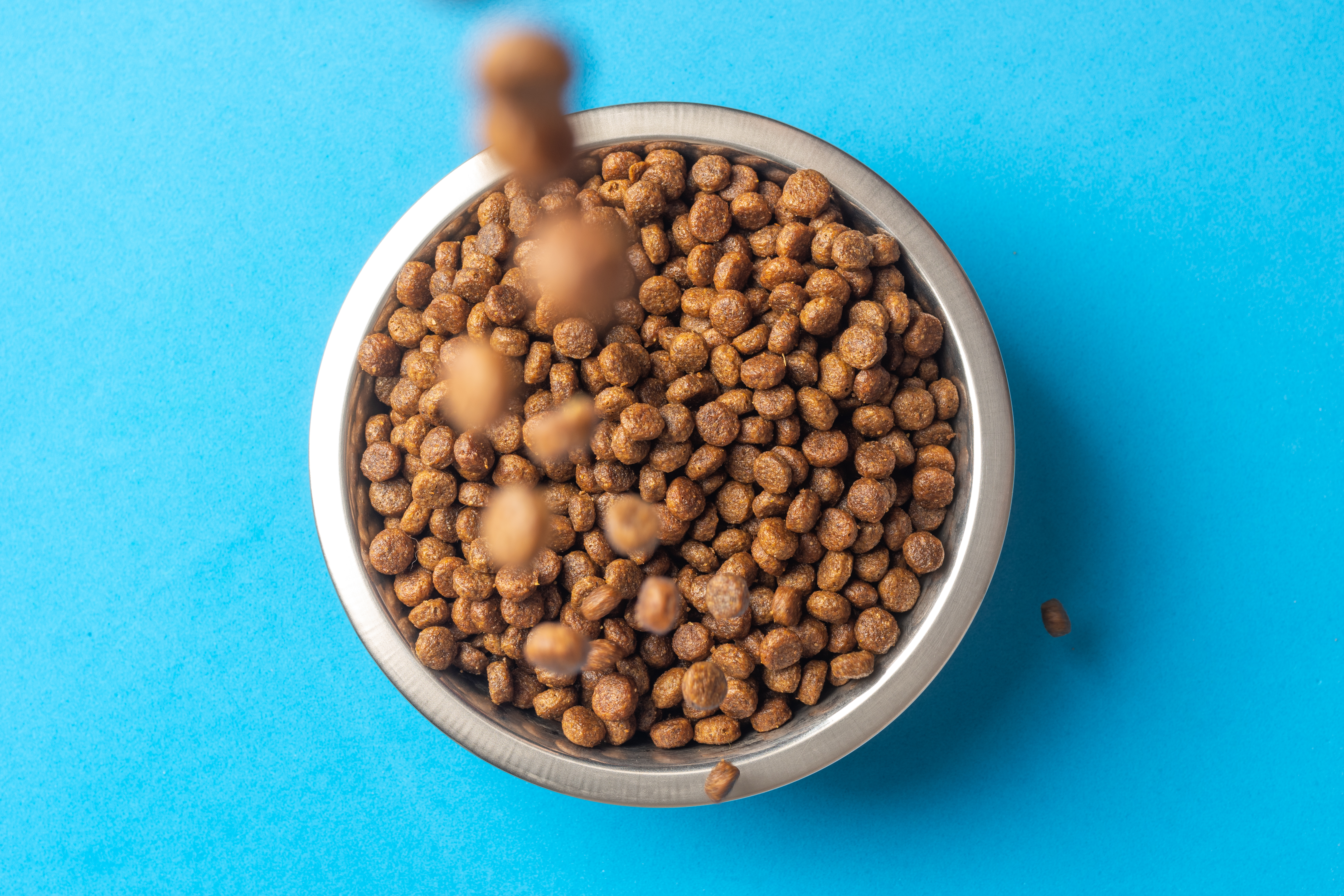 Croquettes sans céréales pour chiens et chats