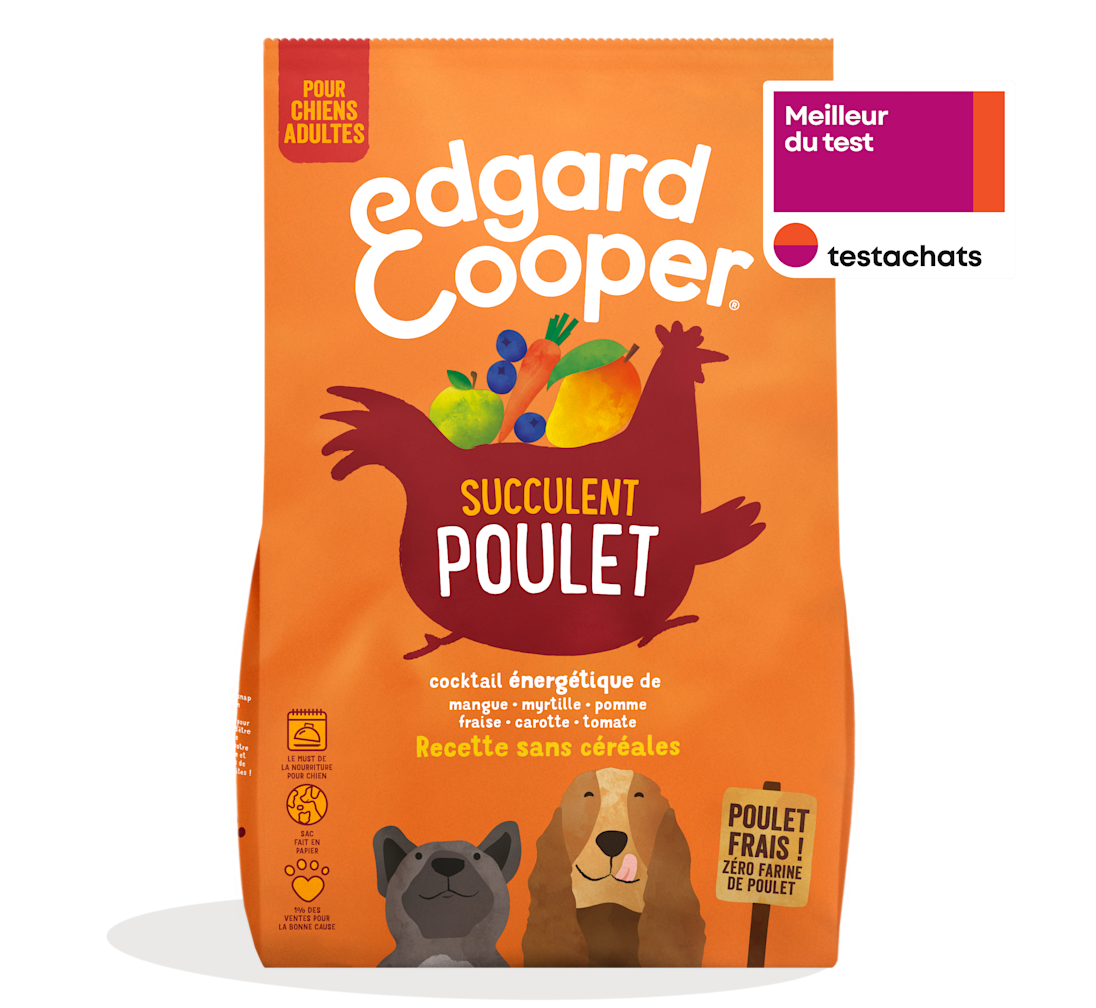 Croquettes Chien Poulet Frais