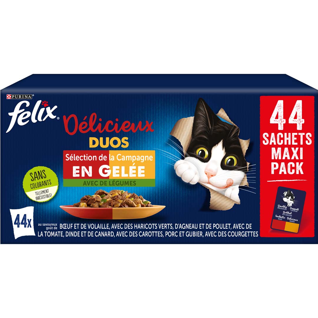 Felix Les Délicieuses à la Campagne aux Légumes